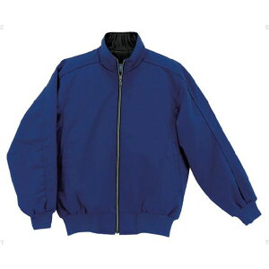 Xgb` `^T[WPbgyDESCENTEzfTg싅 \tgOhR[g(DR203-ROY)