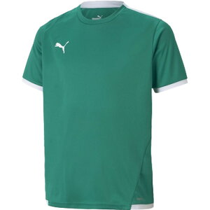 puma(v[})TEAMLIGA Q[Vc JRTbJ[ WUPjbgWPbg(705144-05)