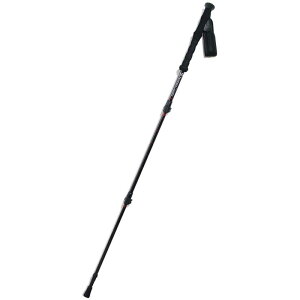 �m�[�U���J���g���[northerncountryTREKKING POLE 2�{�Z�b�g(CARB�A�E�g�h�A�X�e�B�b�N(tr3002-bk)