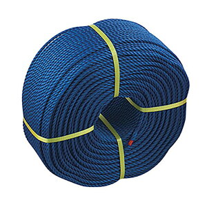 OäOh[v6[200 AI5AwZ@ (s2879)