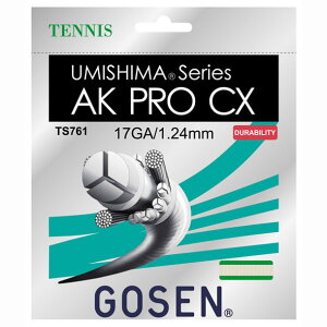 �E�~�V�} AK �v�� CX 17�yGOSEN�z�S�[�Z���e�j�X�d�� �K�c�g(TS761NA)