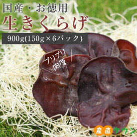 徳用 静岡産 肉厚 生きくらげ 900g ( 150g × 6パック ) 国産 食物繊維 たっぷり 木耳 栄養豊富 きのこ 生きのこ キノコ 生キノコ きくらげ キクラゲ 日本産 大容量 きくらげ 静岡 静岡県 パック 食品 在宅 自宅 お家ごはん お取り寄せグルメ 大容量 農家直送 産地直送