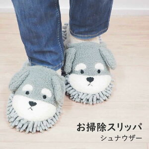 [y] [solami |Xbp ViEU[ 222529] Xbp  킢  _CJC bvXbp 􂦂 [V[Y }CNt@Co[ bv |ObY  