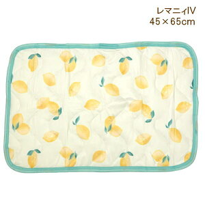 [y] [}jBIV] Jo[ ⊴ pbh 45×65cm 787339-IV gh toridori tYq s[P[X ~pbh ėp Ђ ⊴ N[ ybg}bg Q  􂦂 ڐG⊴ 