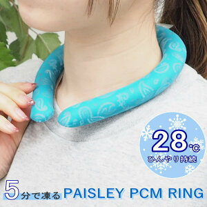 [y] [ PAISLEY PCM OM ^[RCY] lbNN[[ lbNO A549TQ S N[ N[O Ђ p ⊴ObY MǑ΍ JԂg  p^I l 