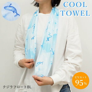 [o] [N[^I NWt[gBL] XJ[t Ђ N[XJ[t 732384 tYq fB[X UVJbg p^I ЂXJ[t ⊴XJ[t  X|[c^I Ђ