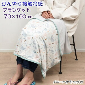 [y] [ЂuPbg j[niLbgIV] uPbg ėp Ђ| 70×100cm 858930 tYq  킢 xr[Pbg Ђ N[ ^IPbg 