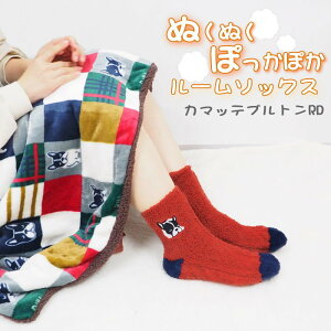 [y] [J}beug RD] C fB[X g [\bNX 802230-RD tYq  ~xx ₦   h  ӂӂ  RR AbvP  