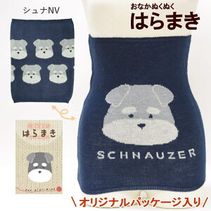 [y] [ ppbP[W  ViNV 901278-NV tYq ] ͂܂ fB[X Ci[  ߂ fB[X Ci[ A_[EFA EGXgEH[}[ {fBEH[}