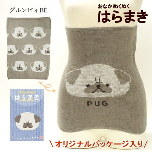 [y] [ ppbP[W  OsBBE 901308-BE tYq ] ͂܂ fB[X Ci[  ߂ fB[X Ci[ A_[EFA EGXgEH[}[ {fBEH