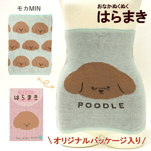 [y] [ ppbP[W  JMIN 901322-MIN tYq ] ͂܂ fB[X Ci[  ߂ fB[X Ci[ A_[EFA EGXgEH[}[ {fBEH[}[