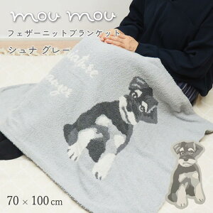 [y] [tFU[jbguPbg [[Vi GY 901735 tYq] uPbg Ђ| 킢 70 100cm   g ѕz qǂ RR ~ xr[ G|  