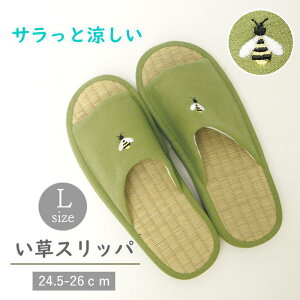 [y] [ |CghJ Xbp LTCY Khaki 41-1079 I[u ] Xbp ėp     Xbp  Y fB[X ݃Xbp  OJ [V[Y R