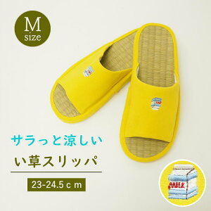 [y] [ |CghJ Xbp MTCY Bronze Yellow 41-1078 I[u ] Xbp ėp     Xbp  Y fB[X ݃Xbp  OJ [V