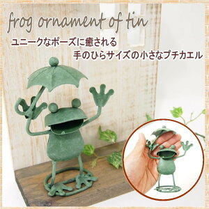 [o] [4623 v`JGAu] u JG cY ^ G uL ObY |[Y K[f ~jTCY  Gݒu IuWF K[fI[ig K[fjO I[i