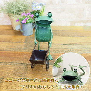 [y] [4816 JGv^[J[g] JG u cYƃ^tbO ^ uL K[f  K[fjO ~jTCY IuWF I[ig fBXvC   cY 