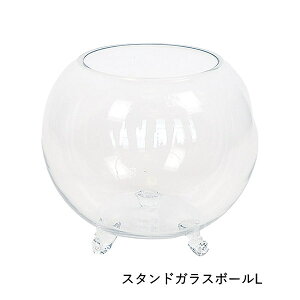 [y] [X^hKX{[L 9027 cY] ԕr t[x[X KX Vv ^ k  傫   CeA KXx[X r u G Ԋ {E {[ ۂ 