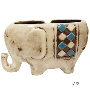 [y] []E]   mfBbNfR 4007353-03 ۘaf  z_[ ጭ  悯   CeA   悯P[X