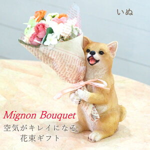 [y] [] ̓ v[g pI Mtg 50  bsO tw CT~ju[P 4208673-02 ۘaf u[P ԑ  A ϗtA IuWF u C~e[V  