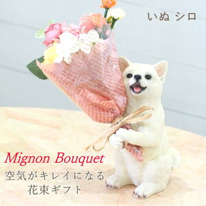 [y] [ʃV] ̓ v[g Mtg ` 50 60  bsO tw  CT~ju[P 4208673-07 ۘaf u[P ԑ  A ϗtA IuWF u   