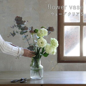 [y][t[x[X EF[u NA STCY NALT2381SW SOW] ԕr t[x[X KX EF[u NA k   CeA  ֑} r u G Ԋ  