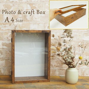 [y] [ Ntg{bNX A4 I[v^Cv uE 4009602-02 ۘaf ] tHgt[ ʐ^ P[X v[g  j DIY  ʐ^ tHgX^h z ʐ^t[ 