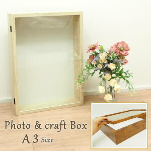 [y] [ Ntg{bNX A3 I[v^Cv zCg 4009603-01 ۘaf ] tHgt[ ʐ^ P[X v[g  j DIY  ʐ^ tHgX^h z ʐ^t[ 