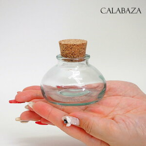 [y][XyCTCNKX Seed storage CALABAZA VGGN3000A SOW] TCNKX XyC G KX e ꕨ ԕr ֑} ANZT[ [ p[c P[X ANZT[P[X p