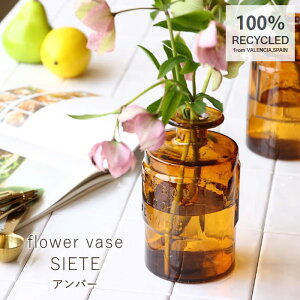 [y][VALENCIA TCNKX t[x[X SIETE Ao[ VGGN1070AMSW SOW] ԕr ֑} t[x[X KX k {g  CeA u G Ԋ   rO _