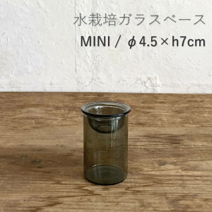 [y] [oux[X ~j7cm] [MINI BULB VASE ͔|KXx[X NA 7cm O[ KEGY4051GY SOW] ԕr ֑} ͔| KXx[X e k͔| KX t[x[X   Vv