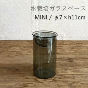 [y] [oux[X ~j11cm] [MINI BULB VASE ͔|KXx[X NA 11cm O[ KEGY4053GY SOW] ԕr ֑} ͔| KXx[X e k͔| KX t[x[X   Vv