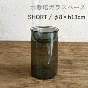 [y] [oux[X V[g13cm] [BULB VASE ͔|KXx[X NA V[g O[KEGY4060GY SOW] ԕr ֑} ͔| KXx[X e k͔| KX t[x[X   
