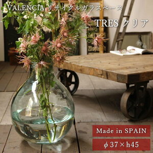 [y][VALENCIA TCNKXx[Xt[x[X TRES NA VGGN1030SW SOW] ԕr KX k  傫 CeA u G Ԋ   rO e[p[h O[ } 