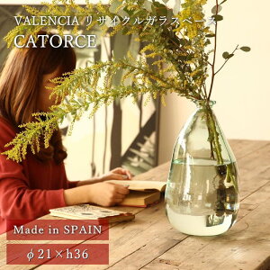 [y][VALENCIA TCNKXx[Xt[x[X CATORCE VGGN2030SW SOW] ԕr KX k  傫 CeA u G Ԋ ^  rO e[p[h O[ } hC