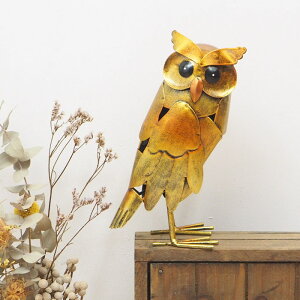 [y][S[hX^hIE 4534 cY] u ӂ낤 CeA tNE ObY 킢 IuWF    ACA IE AeB[N u I[ig  