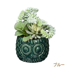 [y][u[] tFCNO[OWL|bg TADY7273BL LTCY C~e[VO[ C~e[Vt[  lHϗtA ϗtA tFCNO[ A ӂ낤 tNE 