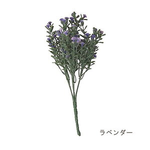 花 ラベンダー 農業資材 ガーデニング用品の人気商品 通販 価格比較 価格 Com 花 ラベンダー 農業資材 ガーデニング用品の人気商品 通販 価格比較 価格 Com