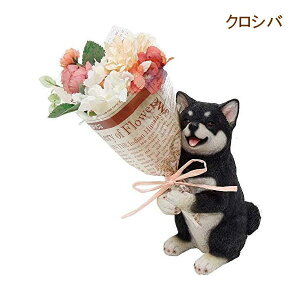 [y] [NVo] ̓ v[g Mtg CT~ju[P 4208673-05 ۘaf u[P ԑ  A ϗtA IuWF u C~e[V   Ck   킢 a h