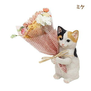 [y] [~P] ̓ v[g Mtg CT~ju[P 4208673-04 ۘaf u[P ԑ  A ϗtA IuWF u  ˂ lR L ~P ~PlR 킢 a hV̓ 
