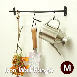 [y] [ ACAEH[nK[M 6465 cY ] ^InK[ 36×6×5cm Lb`pi CeA  Ǌ| [ ǖ fBXvC ACA Vv x[VbN 