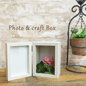 [y] [ItzCg] tHgt[ ʐ^ P[X tHgNtg{bNX c 4008451-03 ۘaf  j 2 T[rX tHgX^h t[ fBXvCP[X E