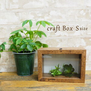 [y] [Ntg{bNX S uE] tHgt[ ʐ^ CeA 4008453-02 ۘaf fR[V P[X v[g  j DIY  tHgX^h z ʐ^t[ 