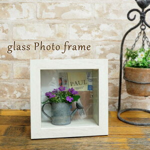 [y] [ItzCg] tHgt[ ʐ^ Ntg{bNX XNGA[ 4008454-03 ۘaf P[X v[g j DIY  ʐ^ tHgX^h z ʐ^t[ EG