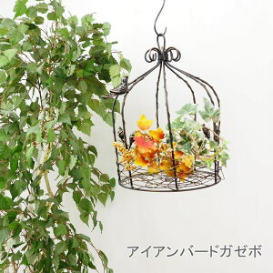 [y][ubN] ACAoXPbg  vgz_[ ACAo[hK[{ 6625 cY K[fI[ig P[W o[hP[W ݂艺 AeB[N K[{ K[