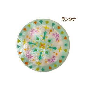 [y] [^i] R[X^[  EhJsXR[X^[ 4295-2594 Lb`pi CeA JsXL JsX AWAG 킢 Lk VF ANZT[ g[ ~  M