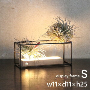 [y][WZtACA fBXvCC[t[ N^O STCY DTFF2391 4548815111970 XpCX] CeA t[ g IuWF fBXvC ACA ANZT[  