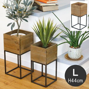 [y][5425 ACAX^hEbh{bNXL] v^[ X^h cY ؐ ACA Ebh ԑ t[X^h CeA ϗtA O[ fBXvC AeB[N 