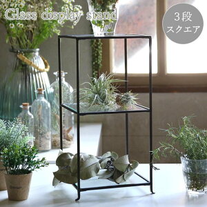 [y][WZtACA 3iKXfBXvC XNGA DTFF9040 XpCX] bN I[vbN I u fBXvC W fBXvCbN KX ACA X^