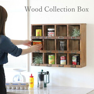 [y] [EbhRNV{bNX DTDT5530 XpCX] [ I[vbN I  Ƌ VFt bN fBXvCbN  I Ǌ|  CeA fBXvC 