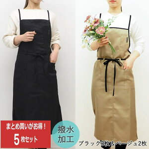 [y] [܂Ƃߔ] [ObvGv ubN3x[W2Zbg 2000-03 6000-07] Gv X^btGv  H [NGv JtFGv c tH[